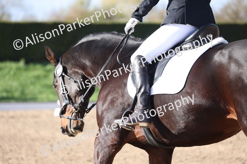 20251101-0602 - Class 4 - Novice 2