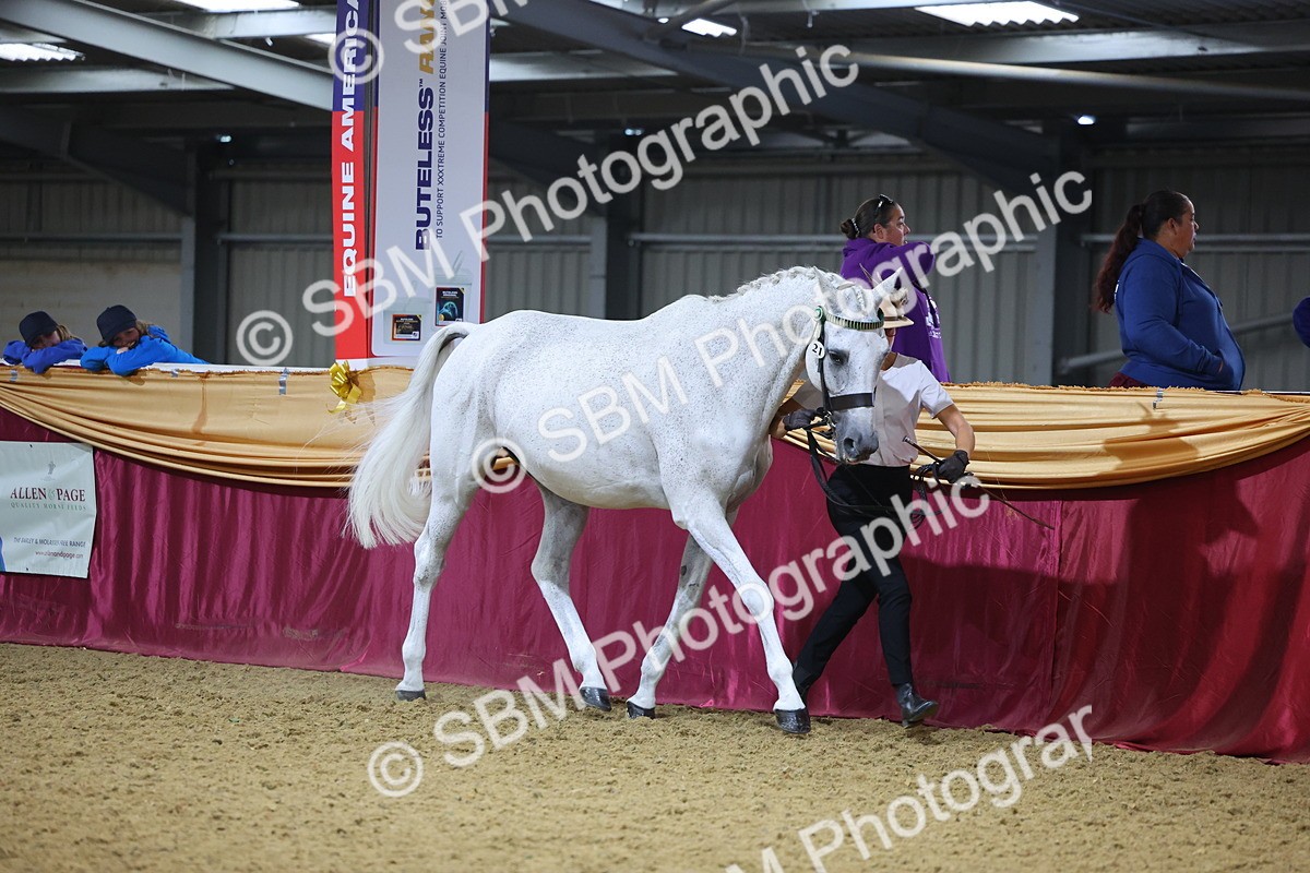 SBM_20810 - Class 902 - Supreme Final IH Veteran