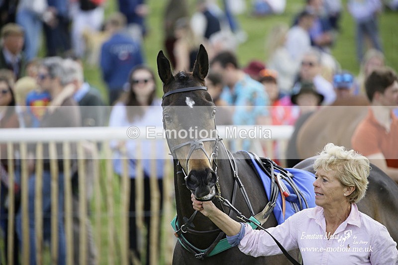 PtP 180422 47 - Old Berkshire PtP Lockinge 18/04/22