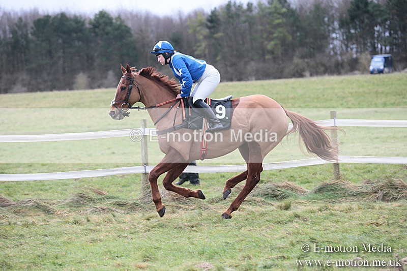 PtP 230119 197 - Royal Artillery Point-to-Point  - Larkhill  - 26/01/19
