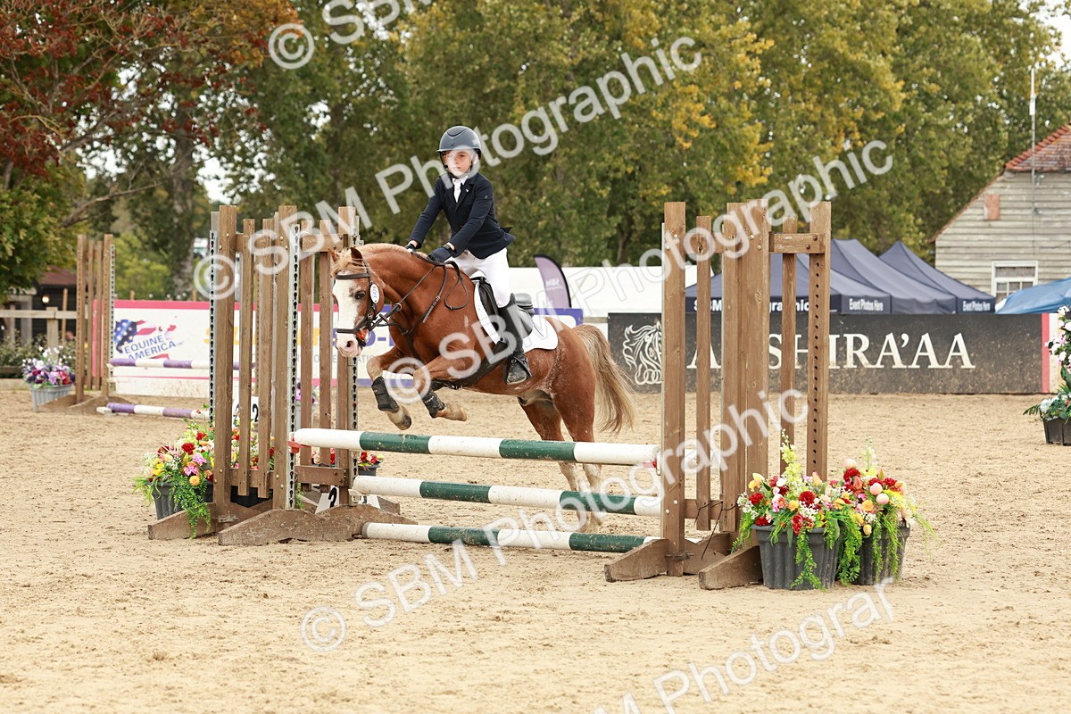 SBM_65297 - Supreme Championship 50cm & 55cm