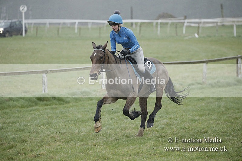 PtP 150320 0112 - New Forest Point-to-Point Larkhill 15/03/20