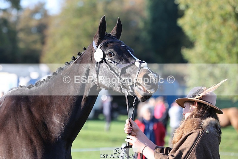 241027-091415-15145 - 379-Vikki.Maddox-GOGETTHAT