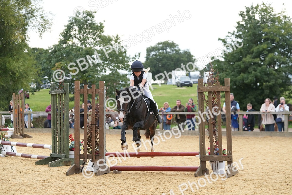 SBM_74603 - J4 - Mini Tour Junior Pony 45cm Championship