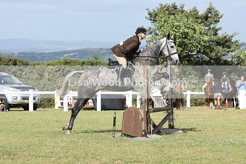 JPP_2677 - Class 20: Working Hunter 70cm