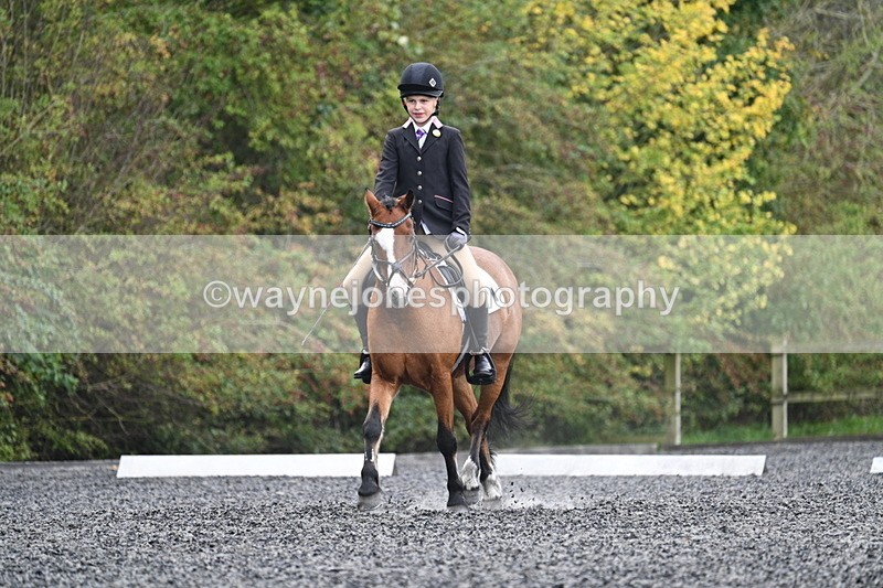 WJ7_3948 - Time 11:04 to 11:38