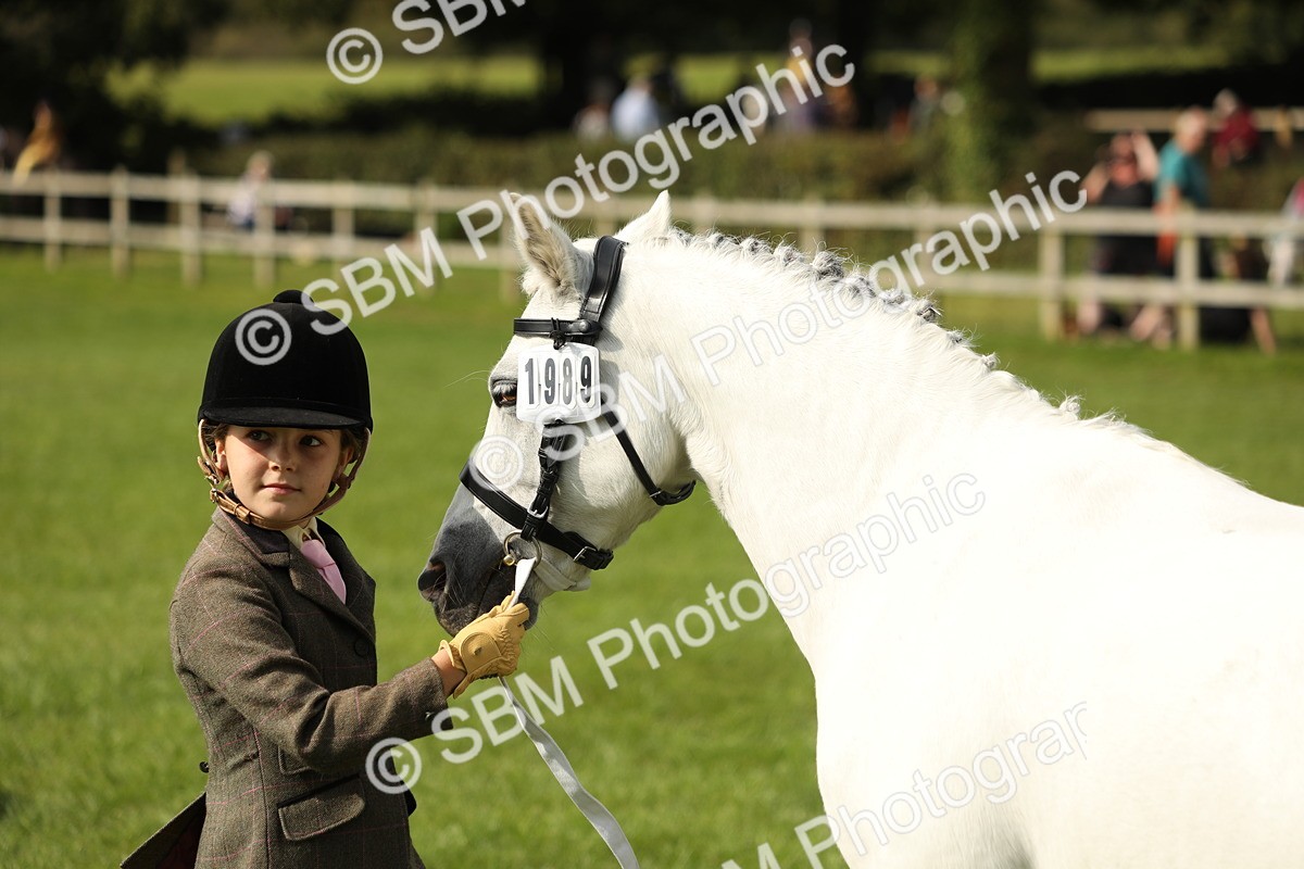 SBM_68655 - S40 - Junior Handler 9-12 Years