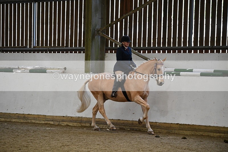 WJ5_5979 - Class 9 Ridden Veteran