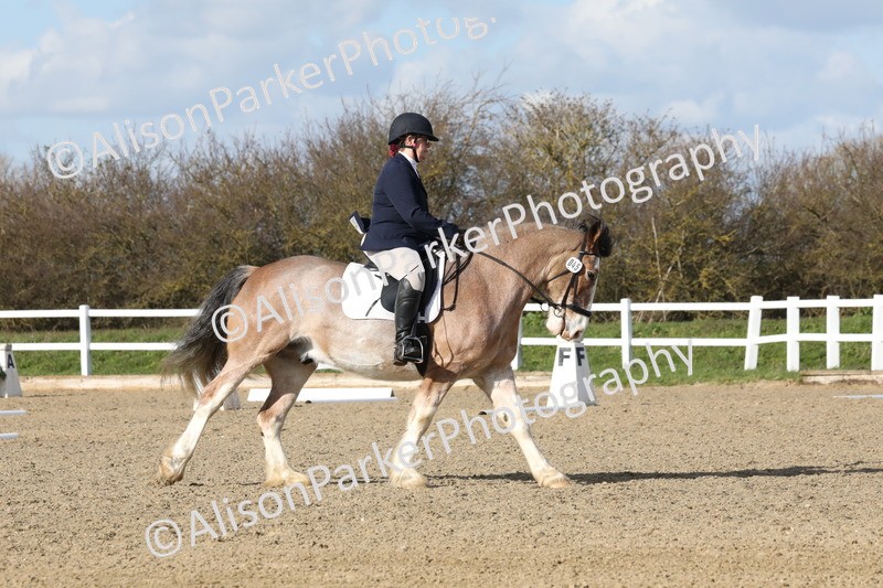 20260314-5007 - CT6 - Elementary 1