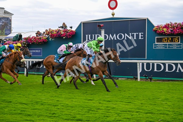210824-Race 1-Jm Jungle-4529 - Race 1 1.50pm Symphony Group Handicap