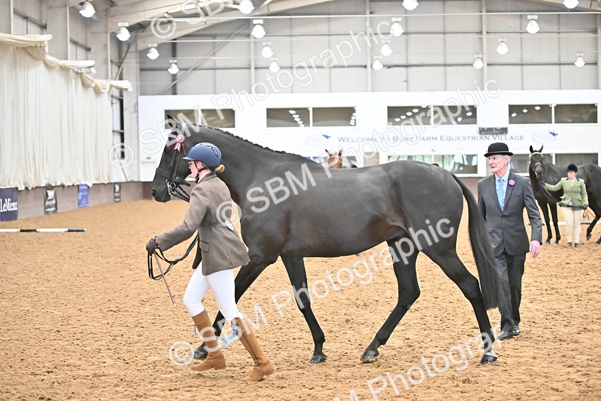 SBM_000237 - Class 7 - ROR Tattersalls In Hand