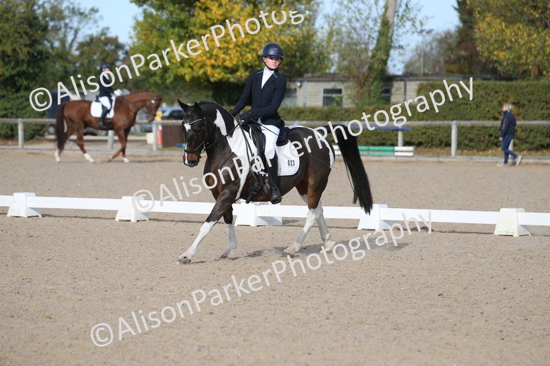 20261011-0256 - Class 4 - Novice 6