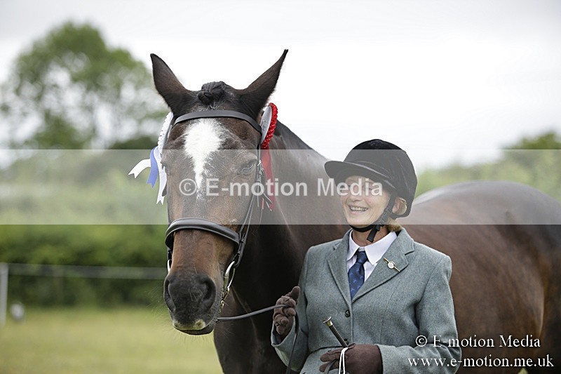 BVR160717-745 - Ring 2 BVRC Show 16/07/17