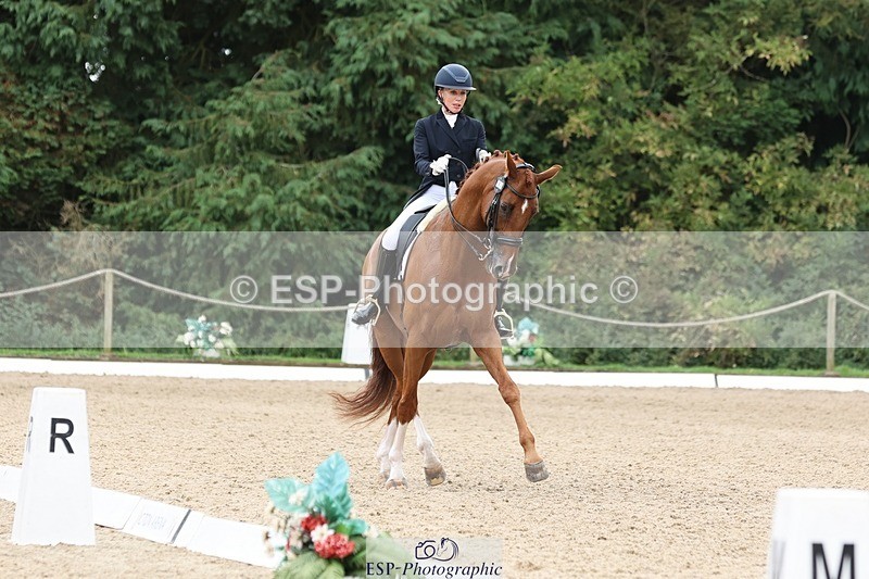 240810-133123-03328 - 188-Amanda.Towle.Shaw-Rockwood.Virtue