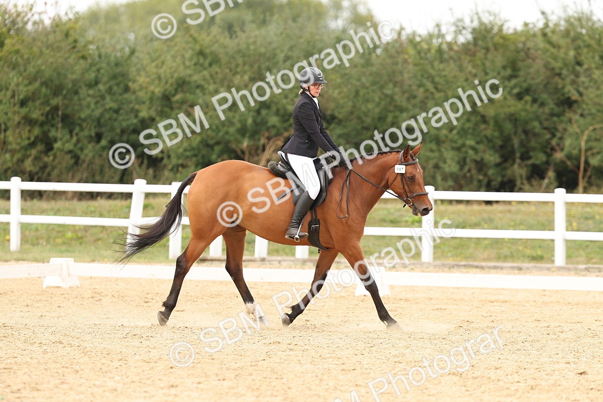 SBM_00975 - Class 8 - Novice 27 Champs