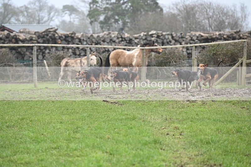 WJ6_5877 - Camera A
