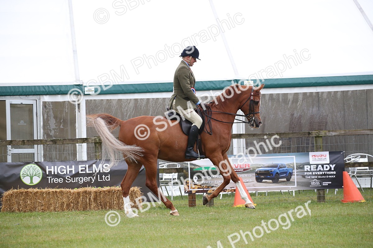 SBM_03655 - Class 21 - 22 - Ridden Arab and Part Bred/Anglo Arab