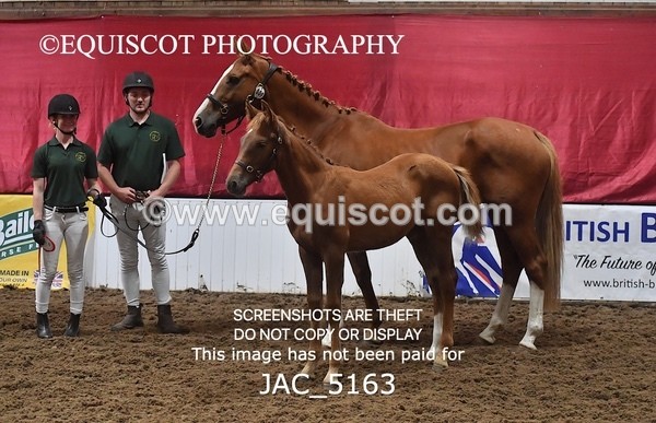 JAC_5163 - 9 Zinzipan