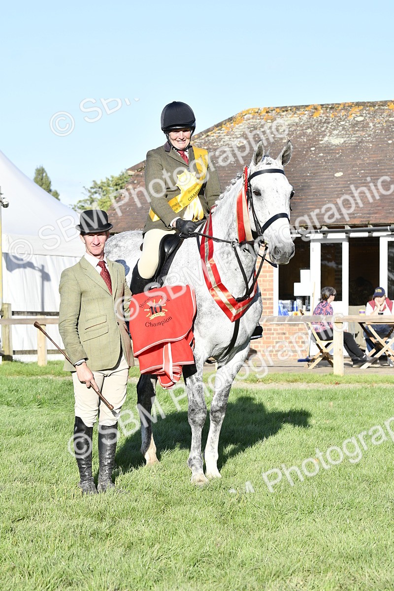 SBM_51757 - Working Hunter Supreme Championship