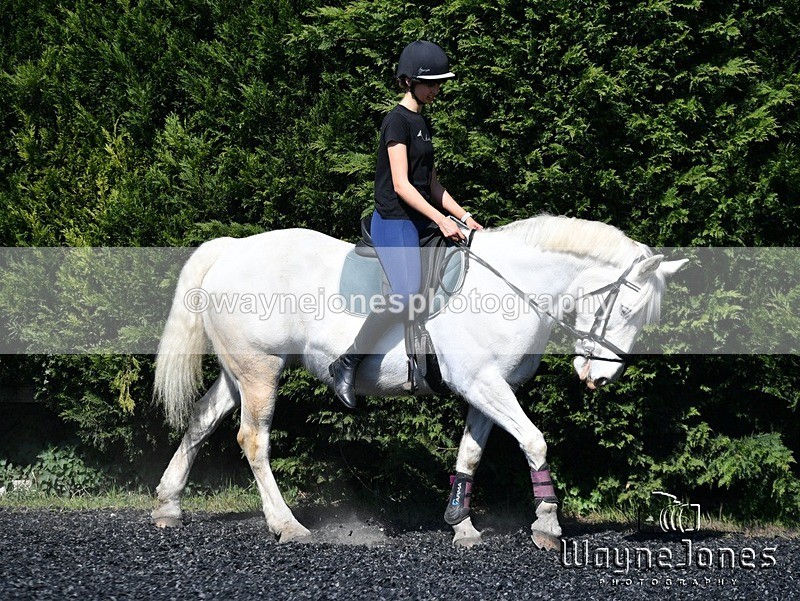 WJ5_1420 - Kelly Harris - Franklin balls, training at Tanners 05-04-25