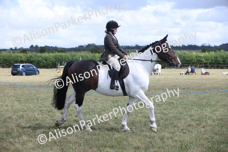 20250831-4175 - Class 20 - Ridden Coloured