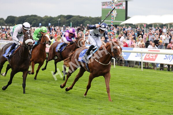 yr19082021r1-24 - Race 1 1.50pm Sky Bet Lowther Stakes