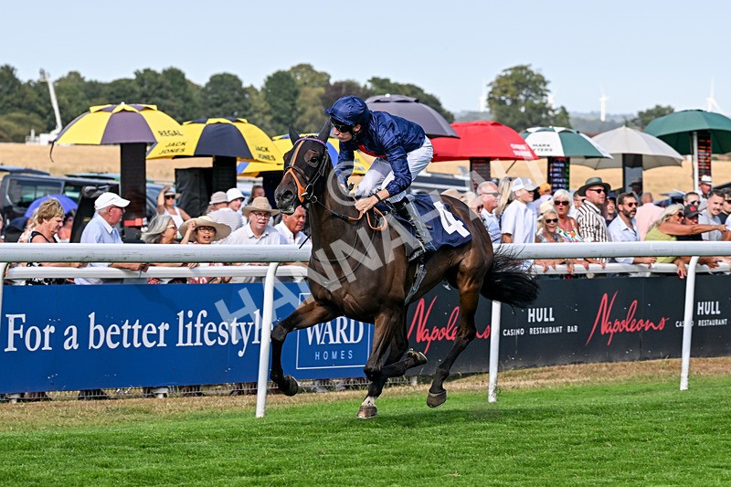 130826-Race 5-Wardlaw-9476 - Race 5 16.15pm Middle Distance Handicap