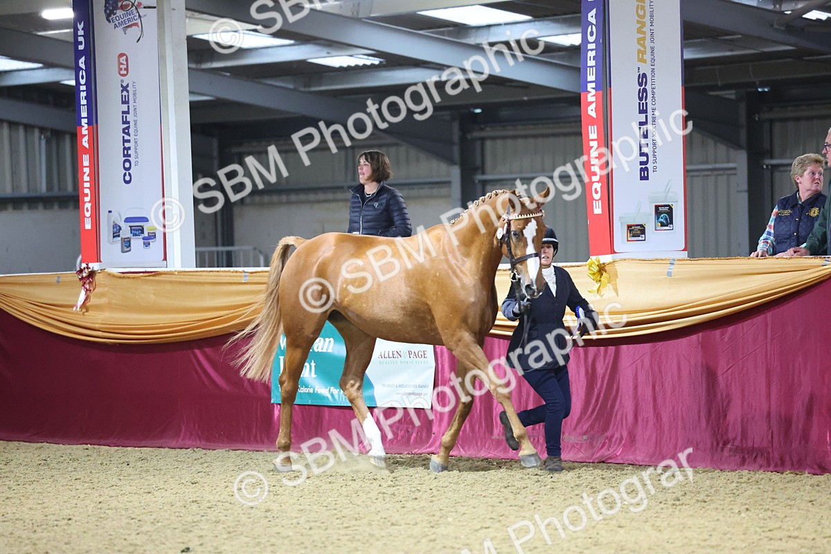 SBM_19083 - Class H Foreign Breeds Champ