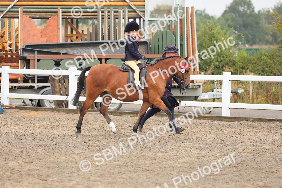 SBM_21715 - Class 806 - Young ridder 10 Yr & Under