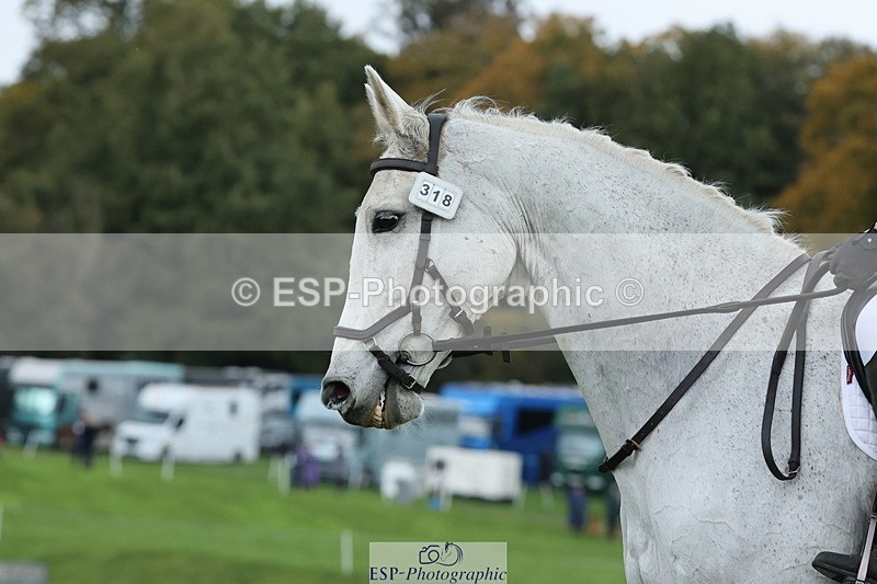 251023A-115655-03449 - D-318-Caroline.Allan