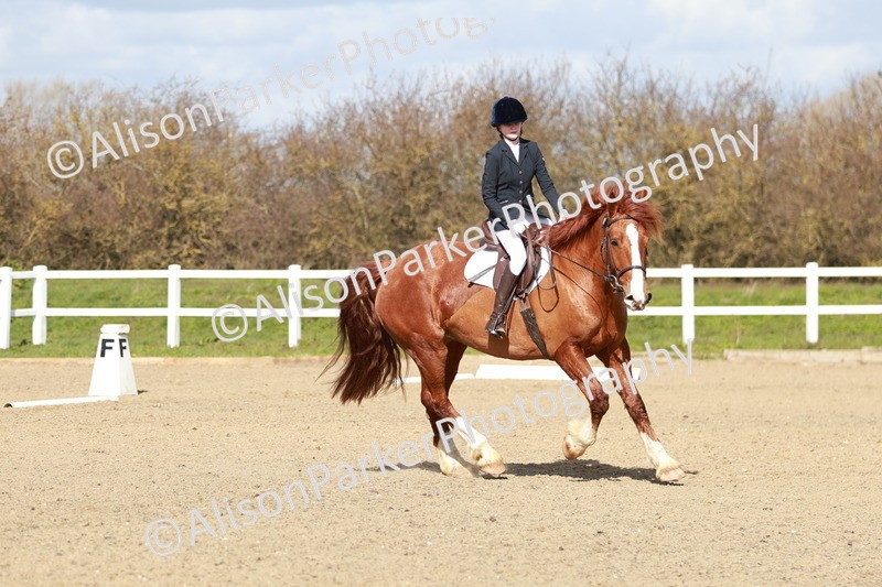 20260314-2936 - DR3 - Prelim 1