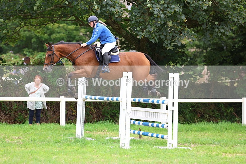 3E7A8407 - Class 8: Senior Foxhunter/1.20m open