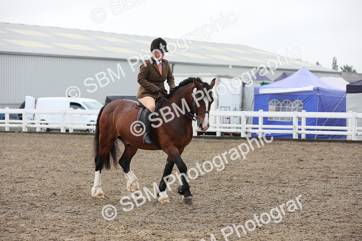 SBM_21365 - Class 805 - Ridden Veteran Horse