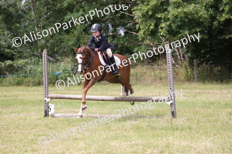 20260614-4134 - Class 24 - Mini and Major Pairs Jumping