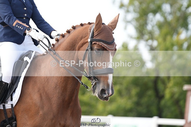 250907-160912-09770 - 126-Clair.ReedCatherston.Specific