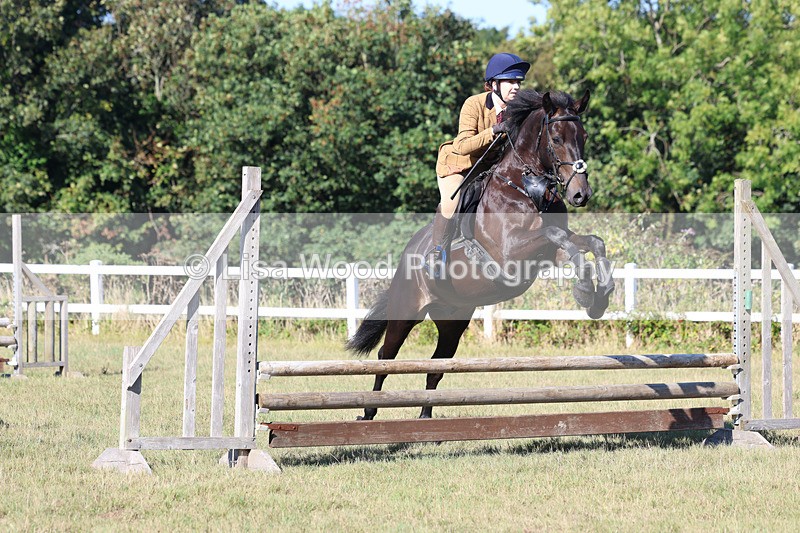 3E7A5484 - Class 3: Working Hunter 70cm