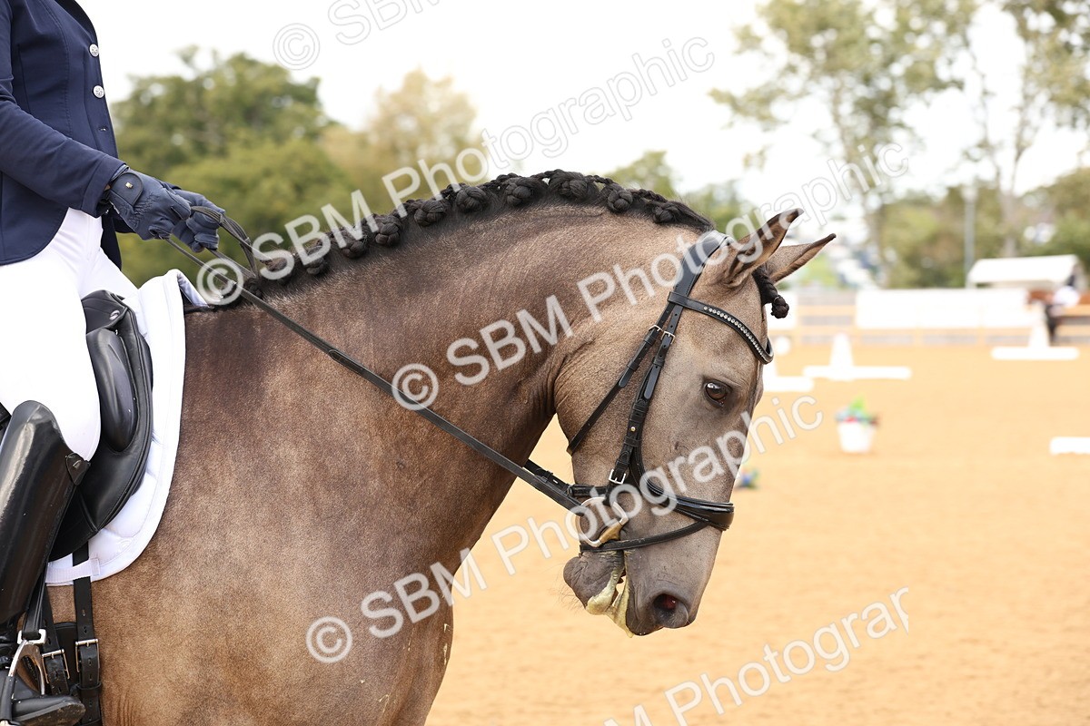 SBM_26909 - D17 - Grand Tour Championship Novice 3