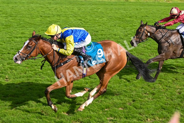 230824-Race 5-Canoodled-9758 - Race 5 4.10pm Assured Data Protection EBF Fillies' Handicap