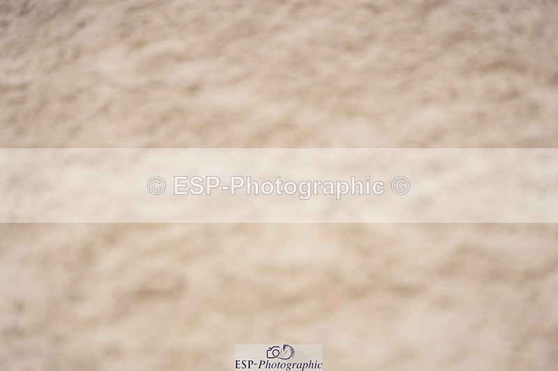 230924A-133250-06201 - 90 SJ Start to 14.00