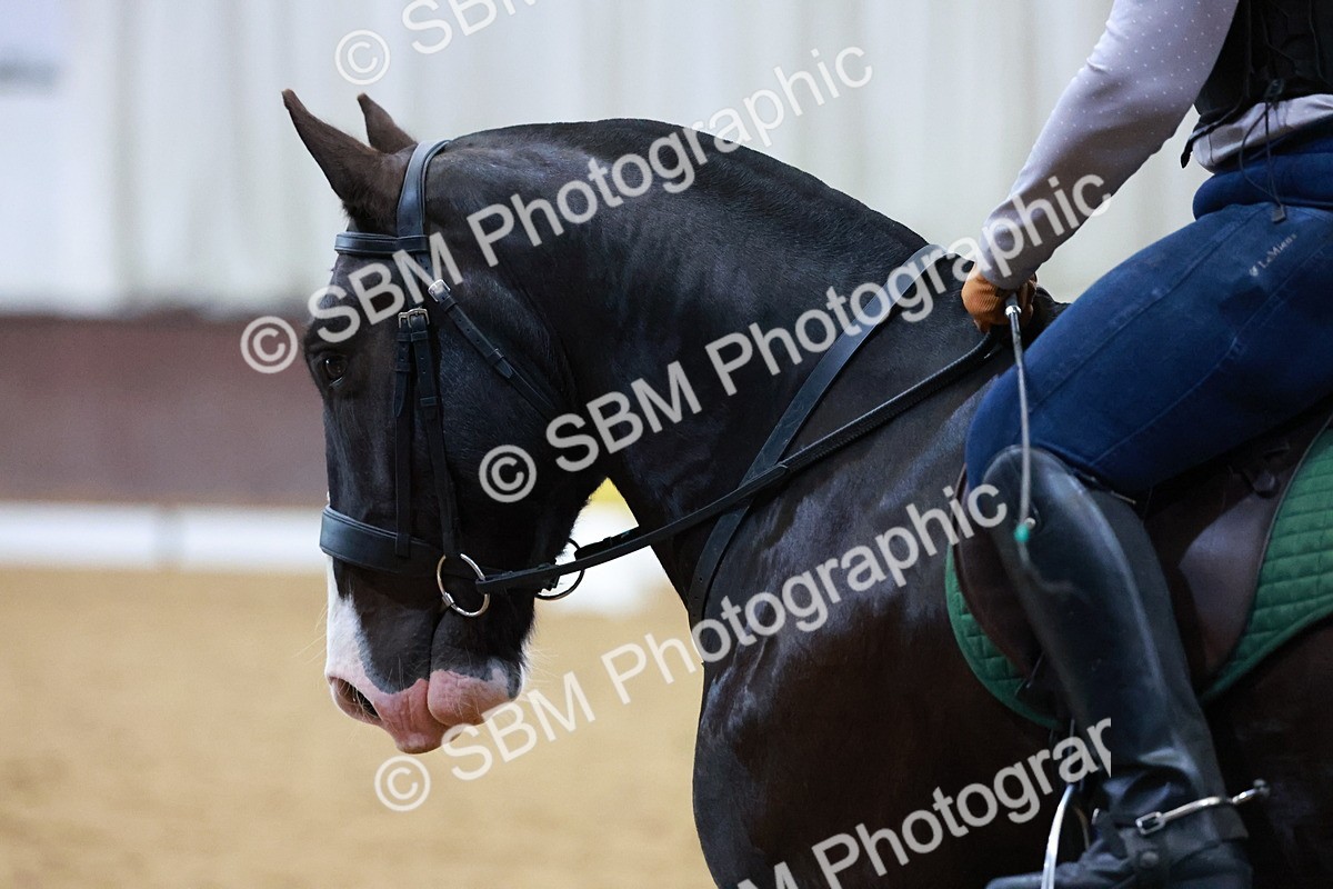 1I0A0905 - Class 3-6 - Prelim 1-Novice 2