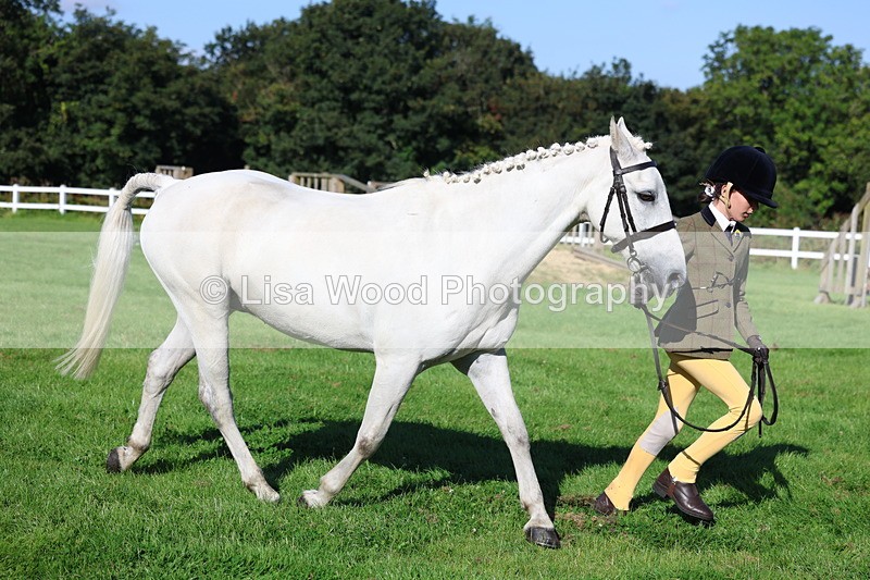 3E7A7699 - Class 1: Novice Working Hunter Pony