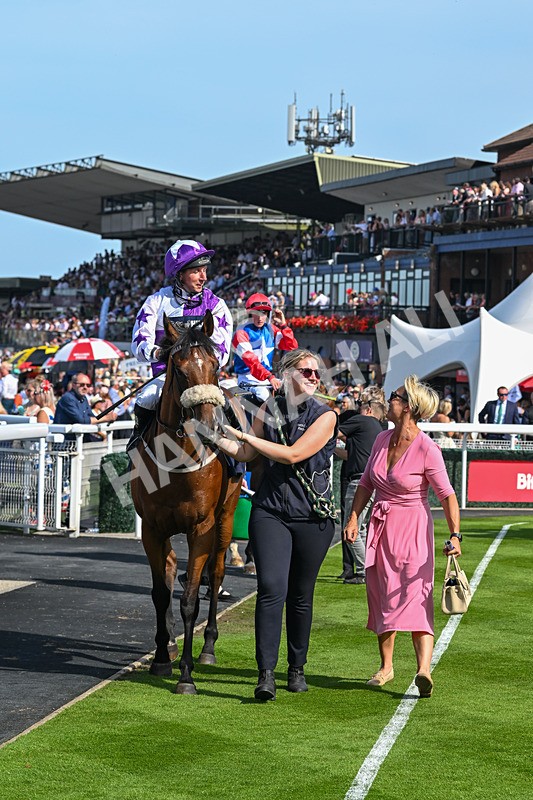 130825-Race 4-Dumfries-8621 - Race 4