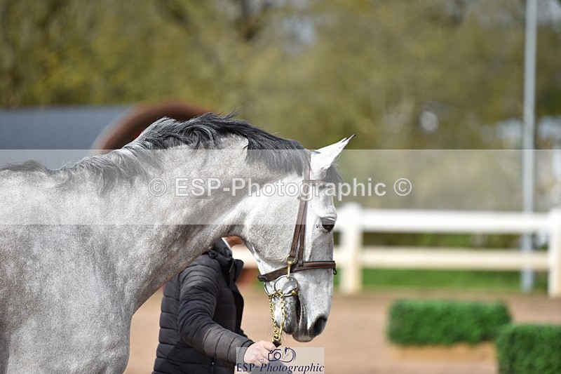 240417A-154216-00964 - 3pm to 4pm