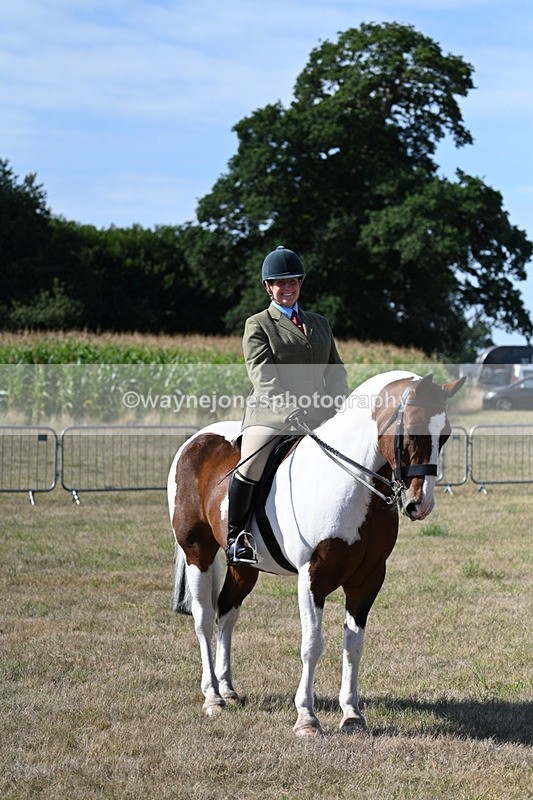 WJ7_3148 - Class 8 Ridden Tack & Turnout