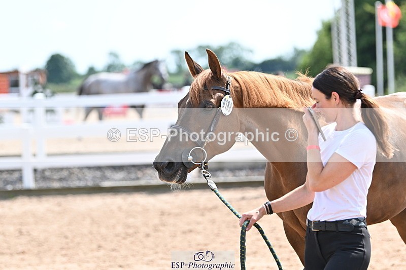 240717A-150758-02571 - Trot Up 3pm to 4pm