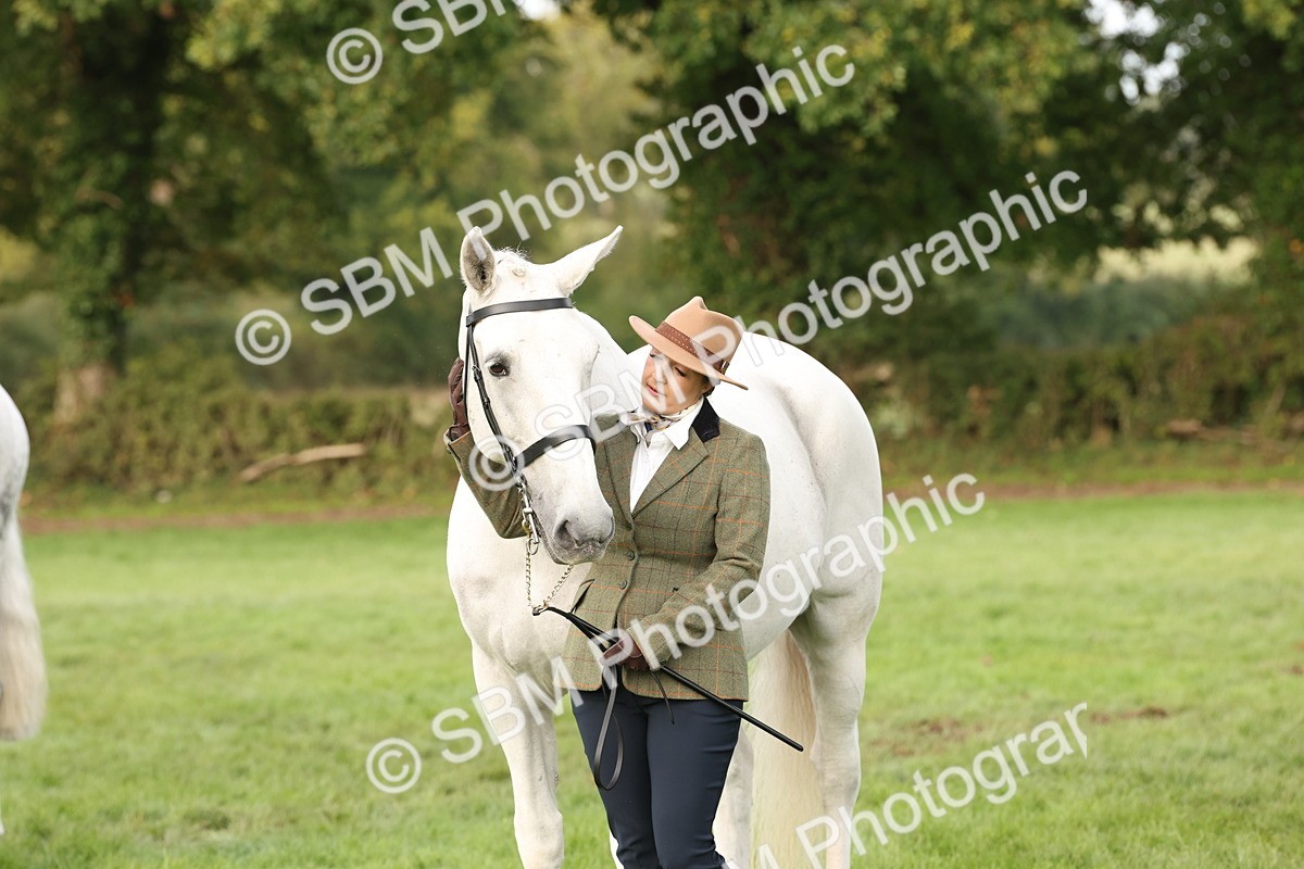 SBM_54703 - S53 - Hunter In Hand