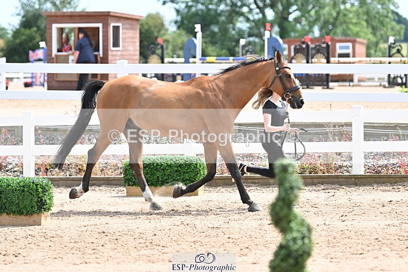 240717A-144556-02274 - Trot Up 2pm to 3pm - This folder is not in time order