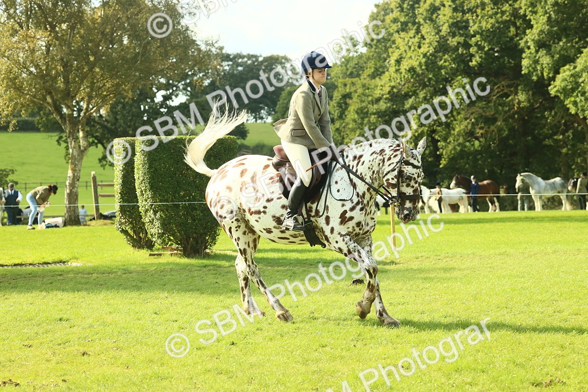 SBM_62408 - S62 - Foreign Breeds Ridden