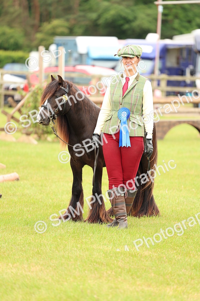 SBM_06341 - Class 39-41 TGCA In Hand and Ridden