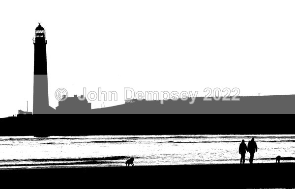 Two Dogs-Two People - Walking the Dog